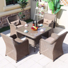 Outdoor Garden Round Table With Umbrella/Rattan Dining Chair